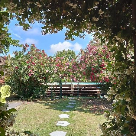 Cosy En Provence Villa Maillane Bagian luar foto