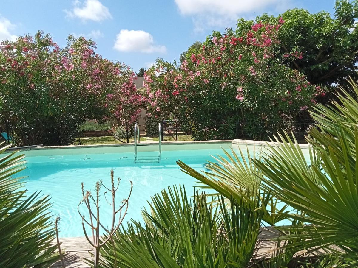 Cosy En Provence Villa Maillane Bagian luar foto