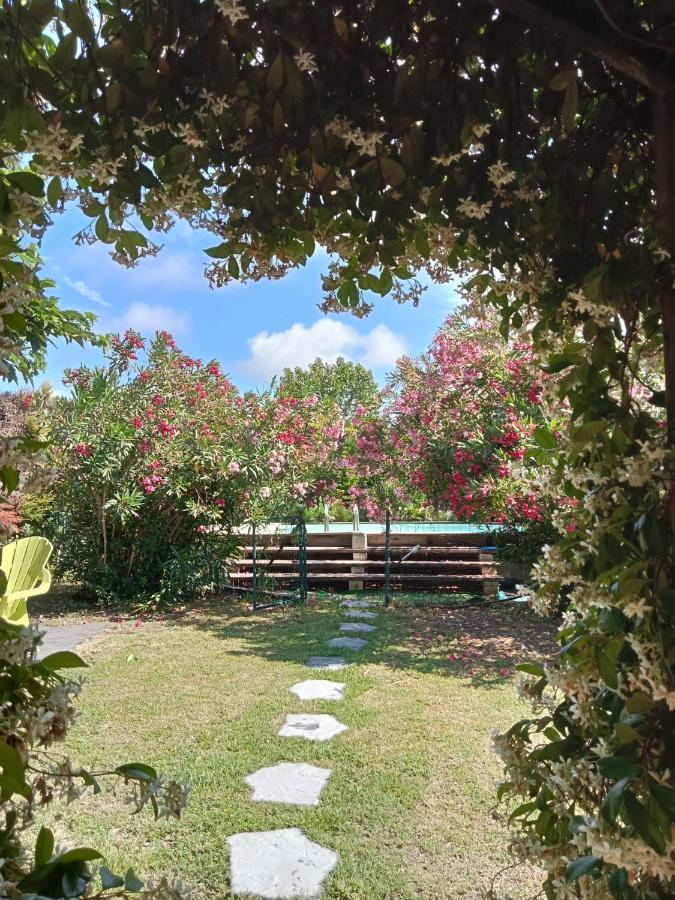 Cosy En Provence Villa Maillane Bagian luar foto